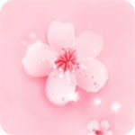77直播