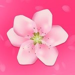 蘑菇短视频在线观看完整版