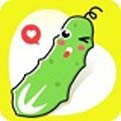 天美视频app在线下载