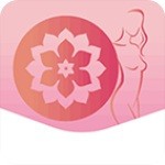 挑战盖高楼最新版_logo