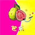 微密猫网页版